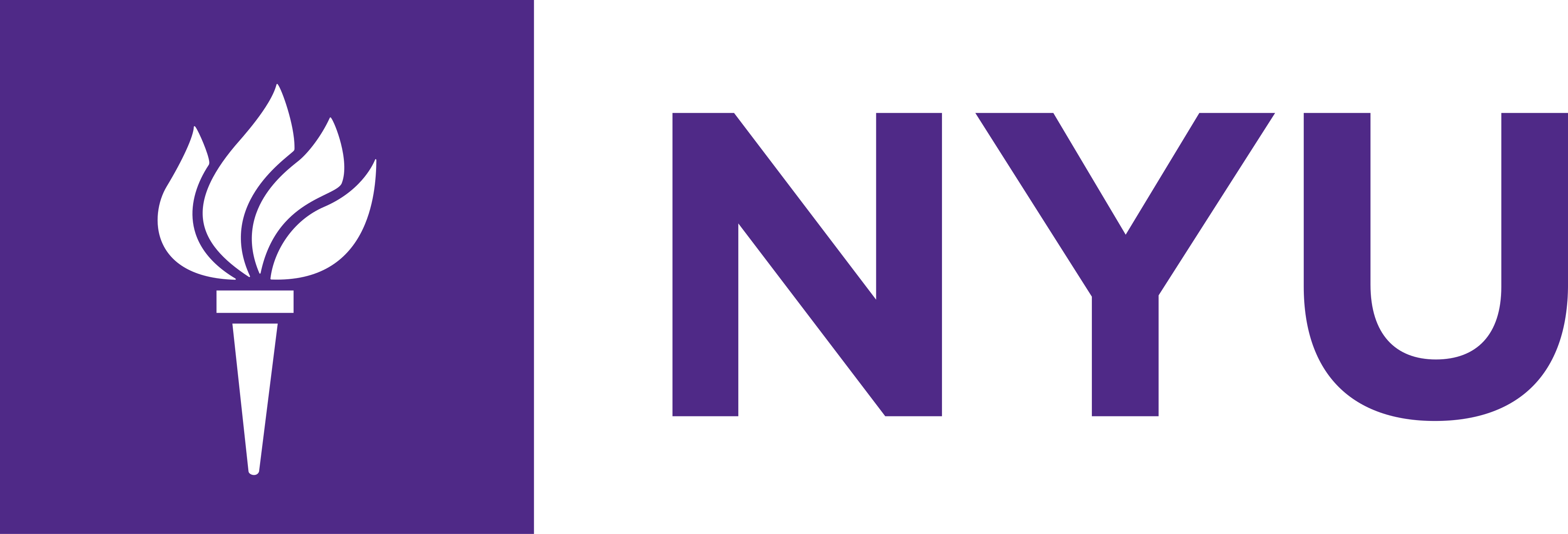 NYU HSRN logo